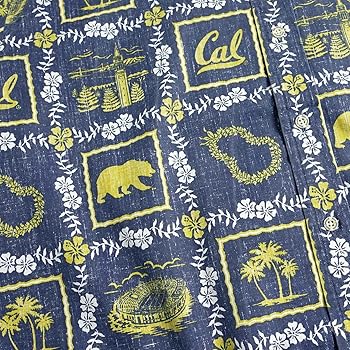 Amazon.co.jp: [レインスプーナー] 半袖 アロハシャツ フル